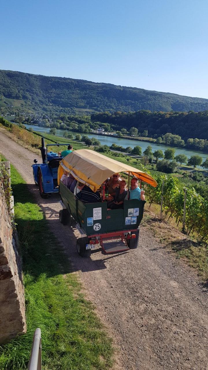 Weingut Erich Serwazi เมเซอนิค ภายนอก รูปภาพ