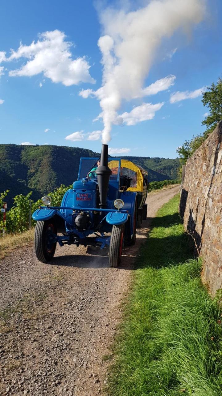 Weingut Erich Serwazi เมเซอนิค ภายนอก รูปภาพ